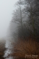 014_Biebrza - kwiecien 2011